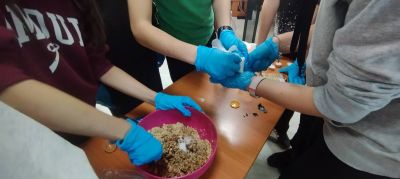 Иновативен урок в 6. „А“ клас разкри „Тайната история на вълшебните сладки“ 13