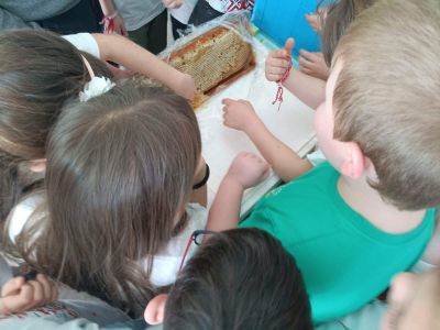 STEAM урокът „Приключенията на пчеличката Мая“ 4