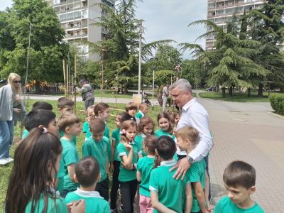 II. „А“ клас засадиха японски вишни в парк „Зеления клин“ 1